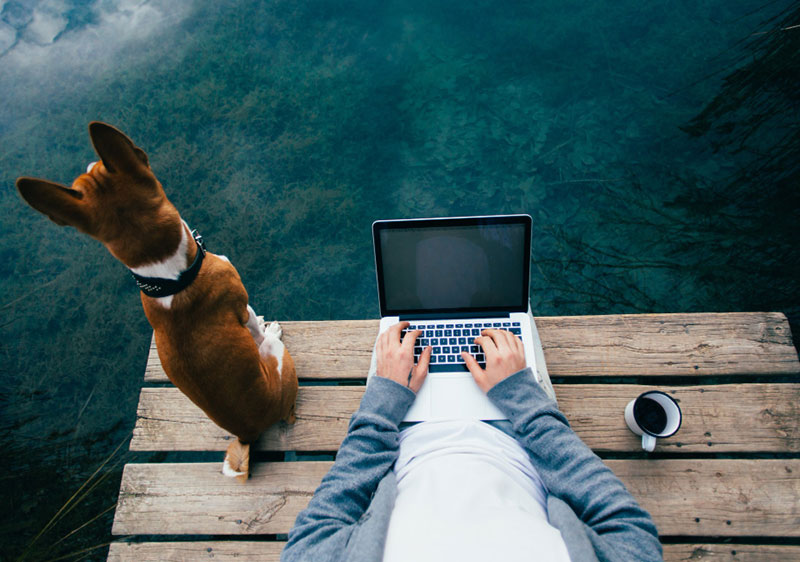 man using his laptop with a dog sitting beside him