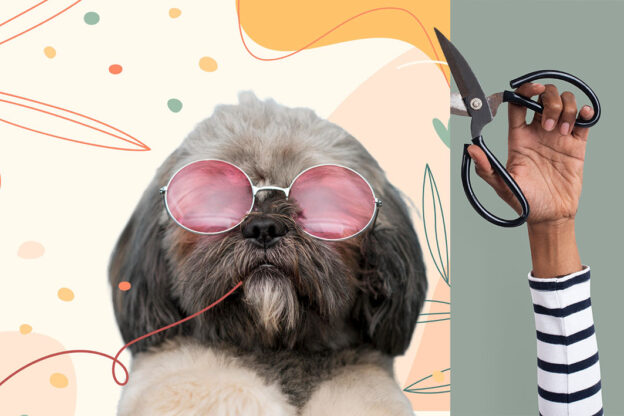 hand with scissors crops the photo of a dog wearing sunglasses
